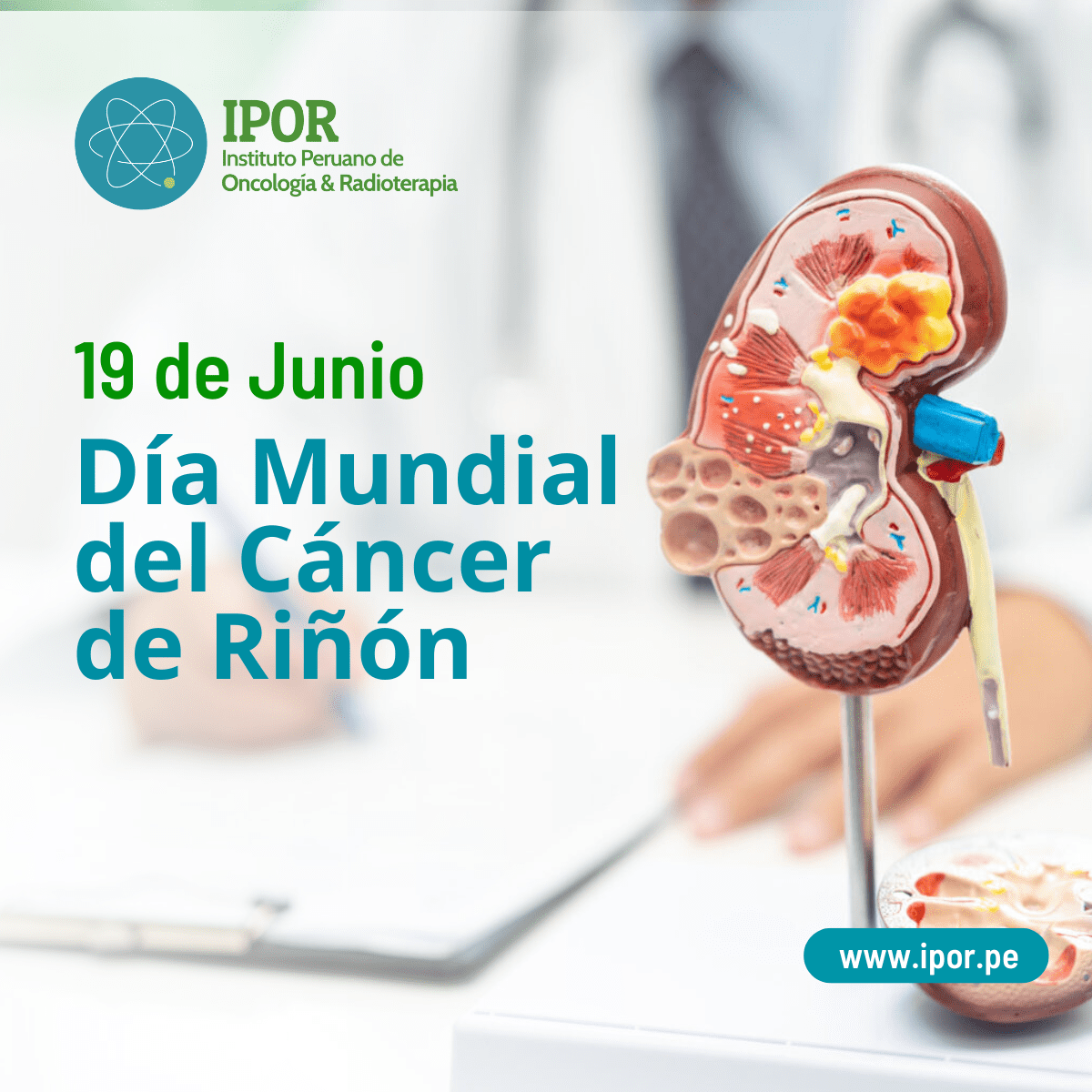día mundial del cáncer de riñón IPOR